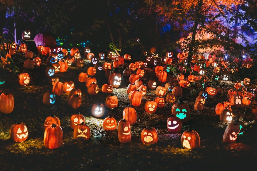 Glowing carved jack-o’-lanterns lit on the ground in a nighttime outdoor Halloween display