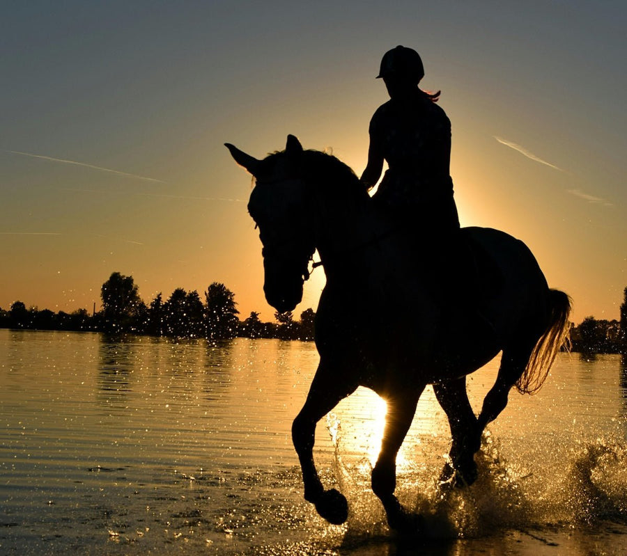 Silhouetted rider on horseback splashing through shallow water at sunset