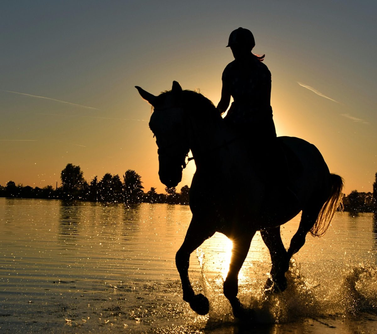 The Perfect Summer Equestrian Outfit: Styling Tips for Hot Days in the Saddle - Thigh Society USA Inc.