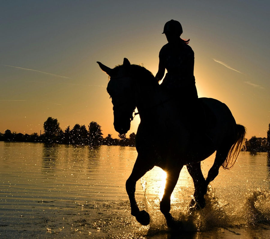 The Perfect Summer Equestrian Outfit: Styling Tips for Hot Days in the Saddle - Thigh Society USA Inc.